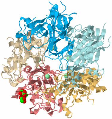 Image Biological Unit 2