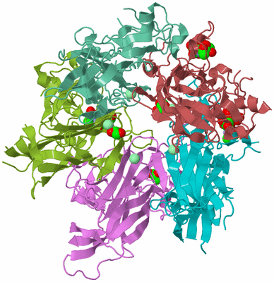 Image Biological Unit 3