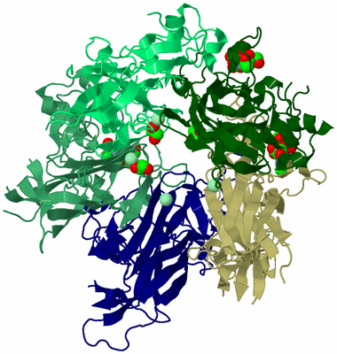 Image Biological Unit 4