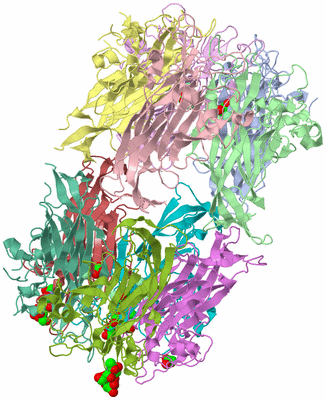 Image Biological Unit 5