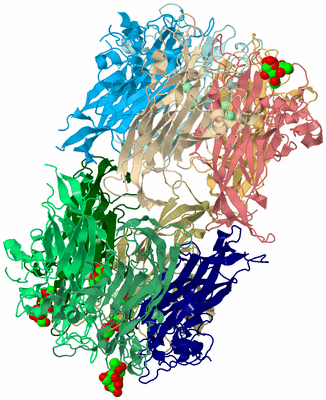 Image Biological Unit 6