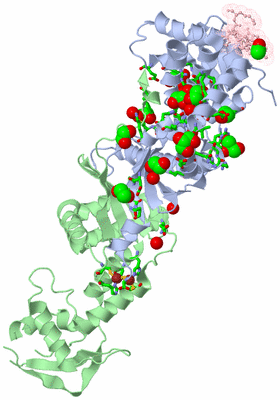 Image Asym./Biol. Unit - sites