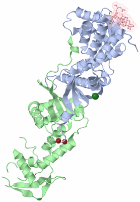 Image Asym./Biol. Unit