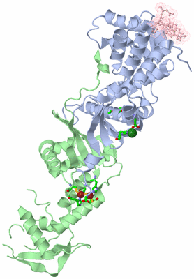 Image Asym./Biol. Unit - sites