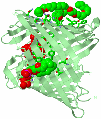 Image Biol. Unit 1 - sites