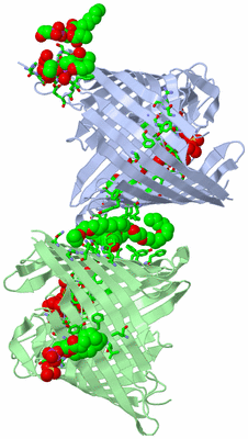 Image Asym. Unit - sites