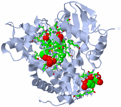 Image Biol. Unit 1 - sites