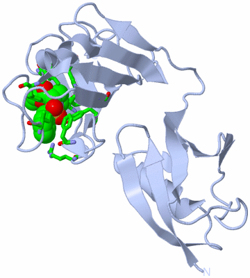 Image Biol. Unit 1 - sites