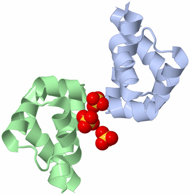 Image Asymmetric Unit