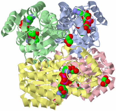 Image Asym./Biol. Unit