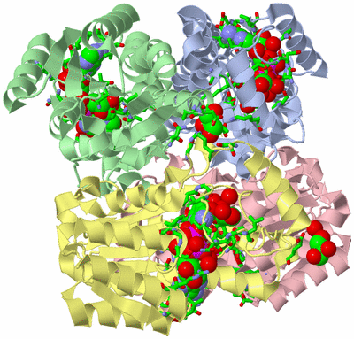 Image Asym./Biol. Unit - sites