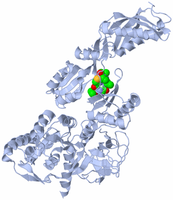 Image Asym./Biol. Unit