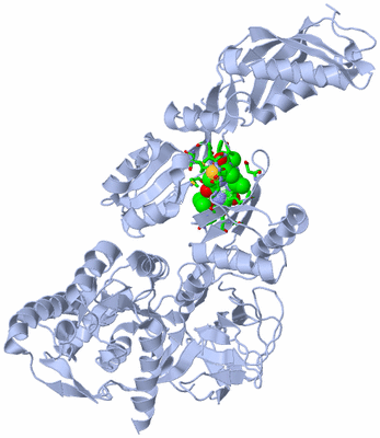 Image Asym./Biol. Unit - sites