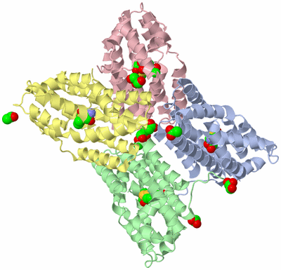 Image Asym./Biol. Unit