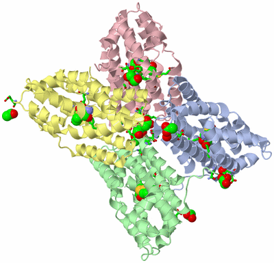 Image Asym./Biol. Unit - sites