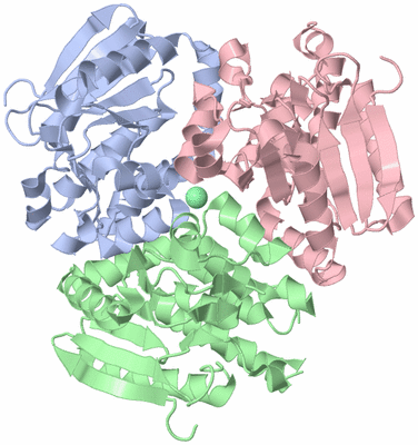 Image Asym./Biol. Unit