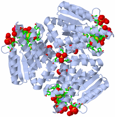 Image Biol. Unit 1 - sites