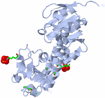 Image Biol. Unit 1 - sites