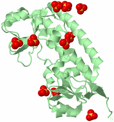 Image Biological Unit 2