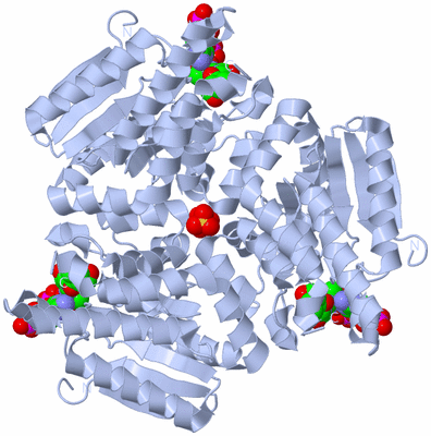 Image Biological Unit 1