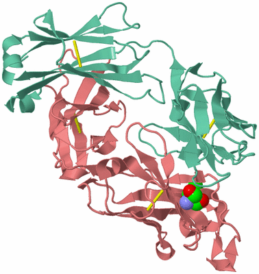 Image Biological Unit 1