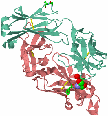 Image Biol. Unit 1 - sites