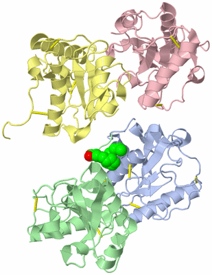 Image Asym./Biol. Unit