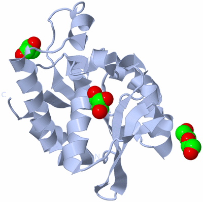 Image Biological Unit 1