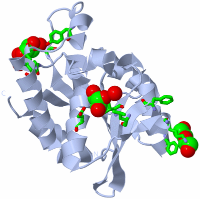 Image Biol. Unit 1 - sites