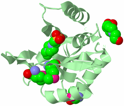 Image Biological Unit 2