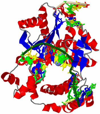 Image Asym./Biol. Unit