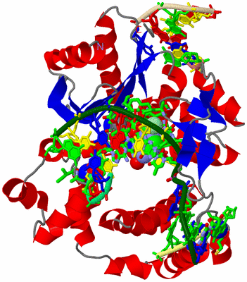 Image Asym./Biol. Unit - sites