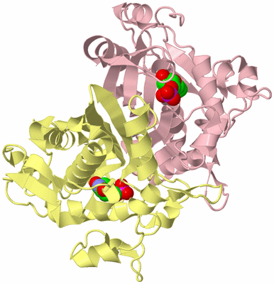 Image Biological Unit 2