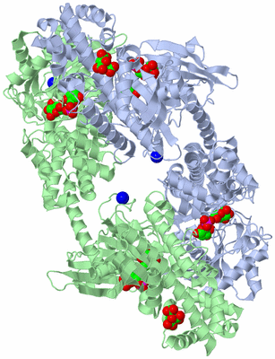 Image Asym./Biol. Unit