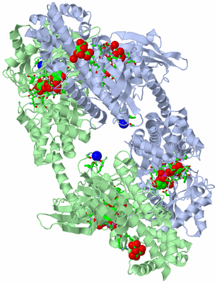 Image Asym./Biol. Unit - sites