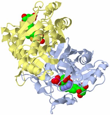 Image Biological Unit 1