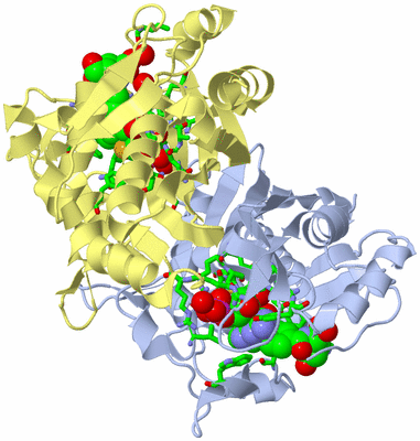 Image Biol. Unit 1 - sites