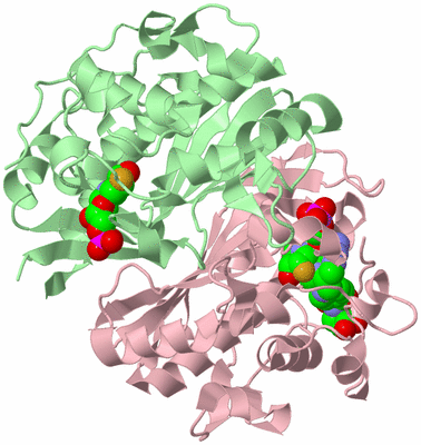 Image Biological Unit 2