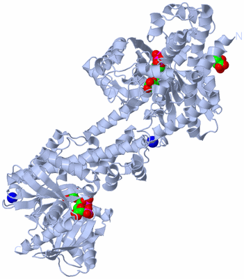 Image Biological Unit 2