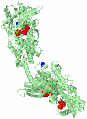 Image Biological Unit 3