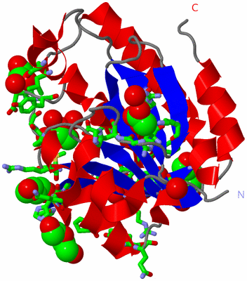 Image Asym./Biol. Unit - sites