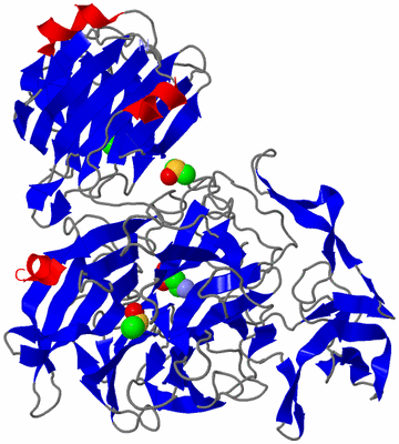 Image Asym./Biol. Unit