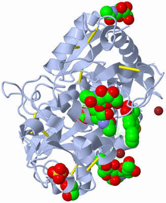 Image Asym./Biol. Unit