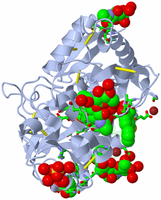 Image Asym./Biol. Unit - sites