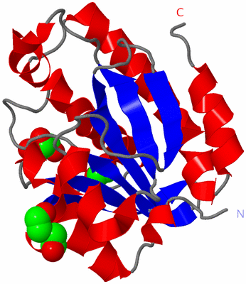 Image Asym./Biol. Unit