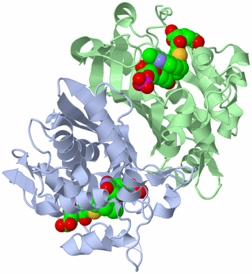 Image Biological Unit 1