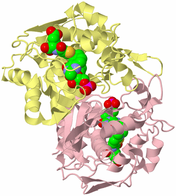 Image Biological Unit 2