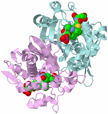 Image Biological Unit 3