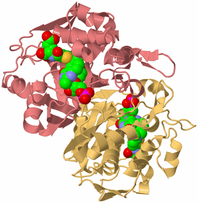 Image Biological Unit 4