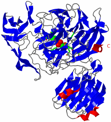 Image Asym./Biol. Unit - sites